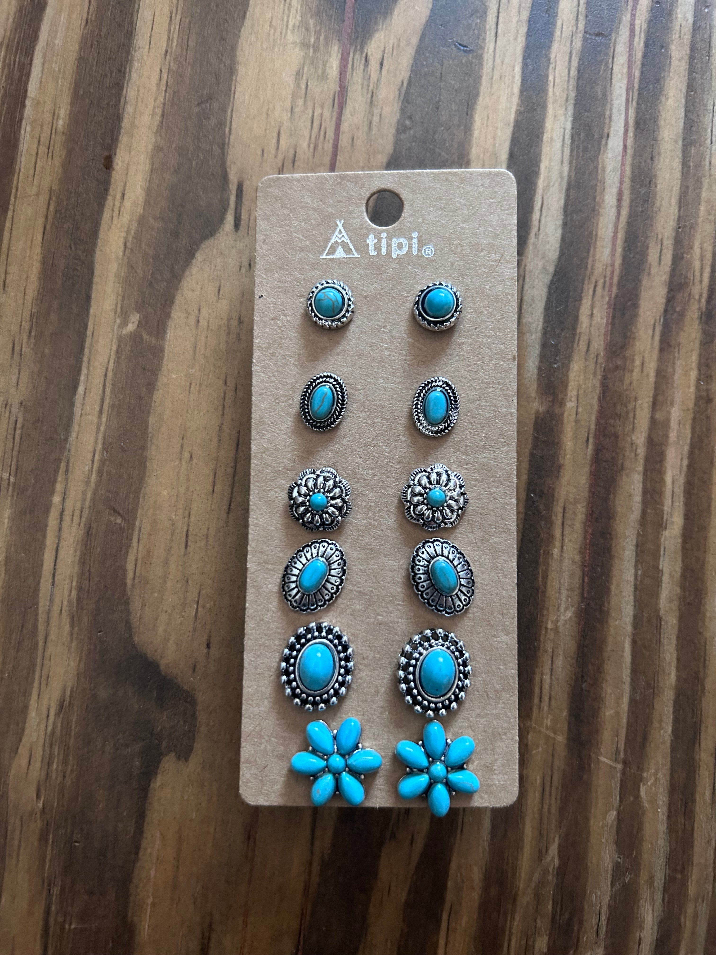 6 piece earring set