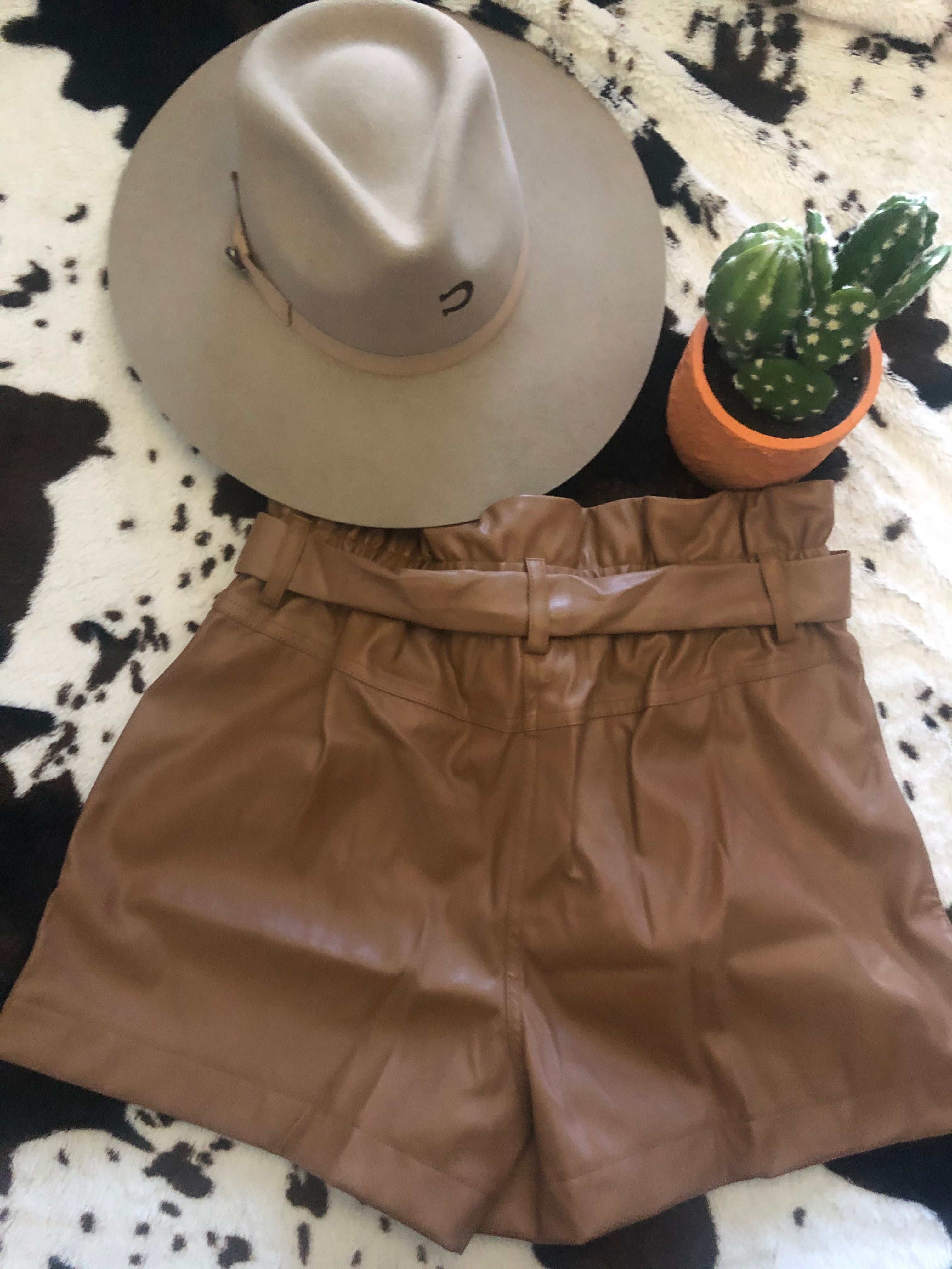 Faux Leather High Waist Shorts